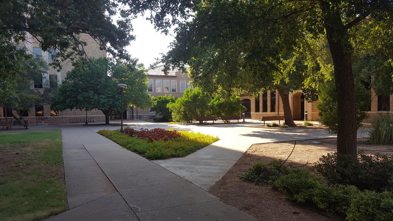 Texas Tech University, Texas Tech, TTU, College of Human Sciences Building, Human Sciences