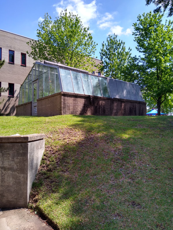 Tennessee Community College, SWCC, Union Avenue, Greenhouse