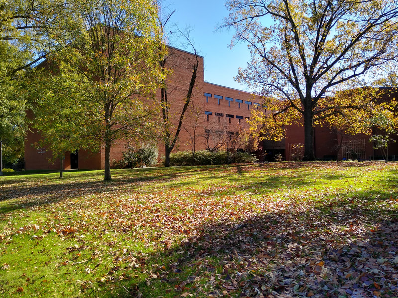 University of Memphis, UofM, Fogleman College of Business and Economics Building, Fogleman Building