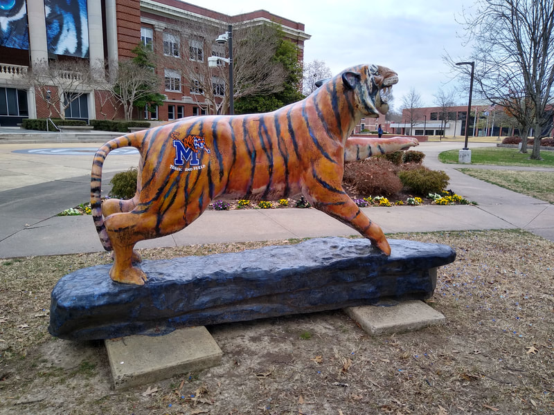 University of Memphis, UofM, Tigers Around Town