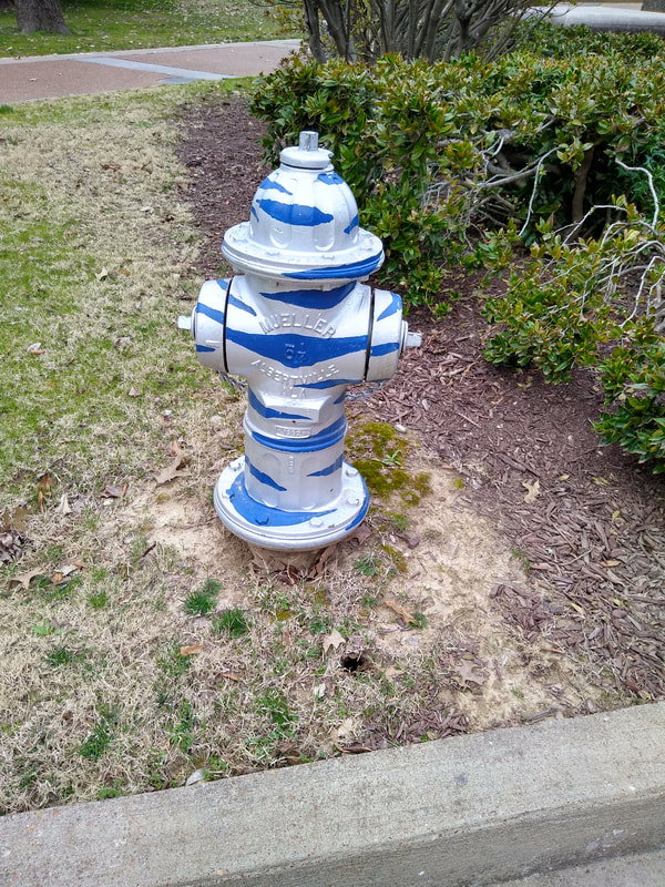 University of Memphis, UofM, Tiger Stripes, Tiger Stripe Fireplug, Tiger Stripe Fire Hydrant