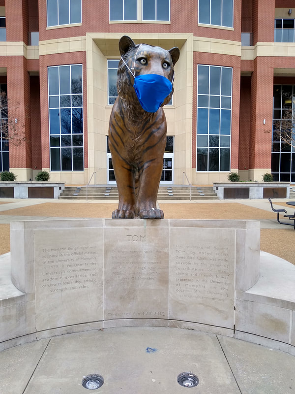 University of Memphis, UofM, Tom Tiger Statue