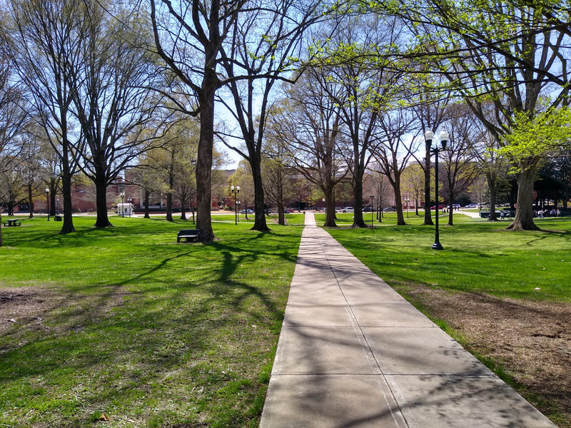 The Grove, University of Mississippi, Ole Miss