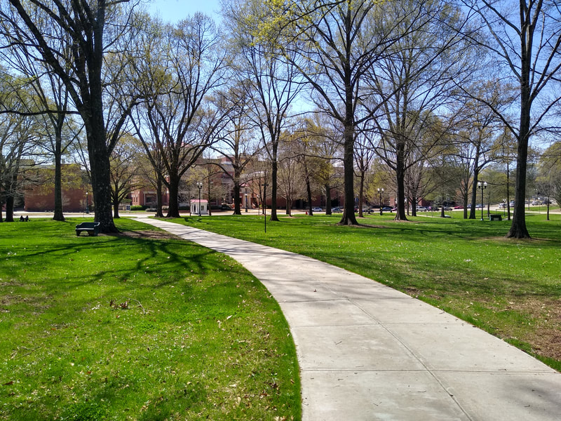 The Grove, University of Mississippi, Ole Miss