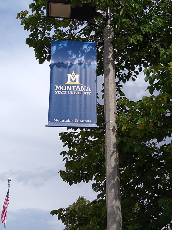 Montana State University, MSU, Bozeman, lamppost sign, lamp post sign