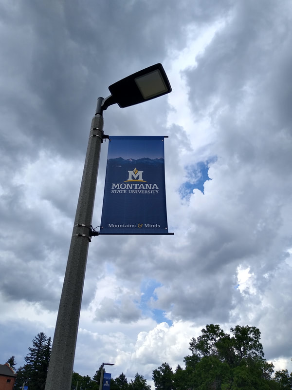 Montana State University, MSU, Bozeman, lamppost sign, lamp post sign