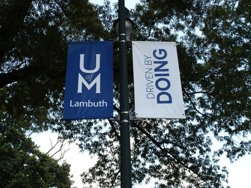 University of Memphis Lambuth, UofM Lambuth, streetlight banner, banner, flag