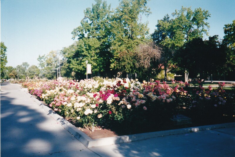 Rose Garden, California State University Fresno, Fresno State